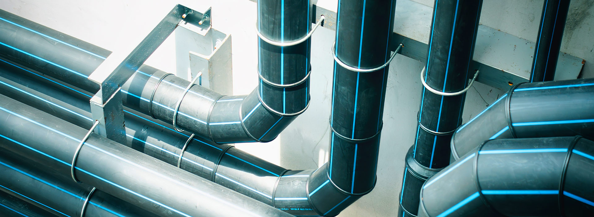 天行(中国)-品牌实力